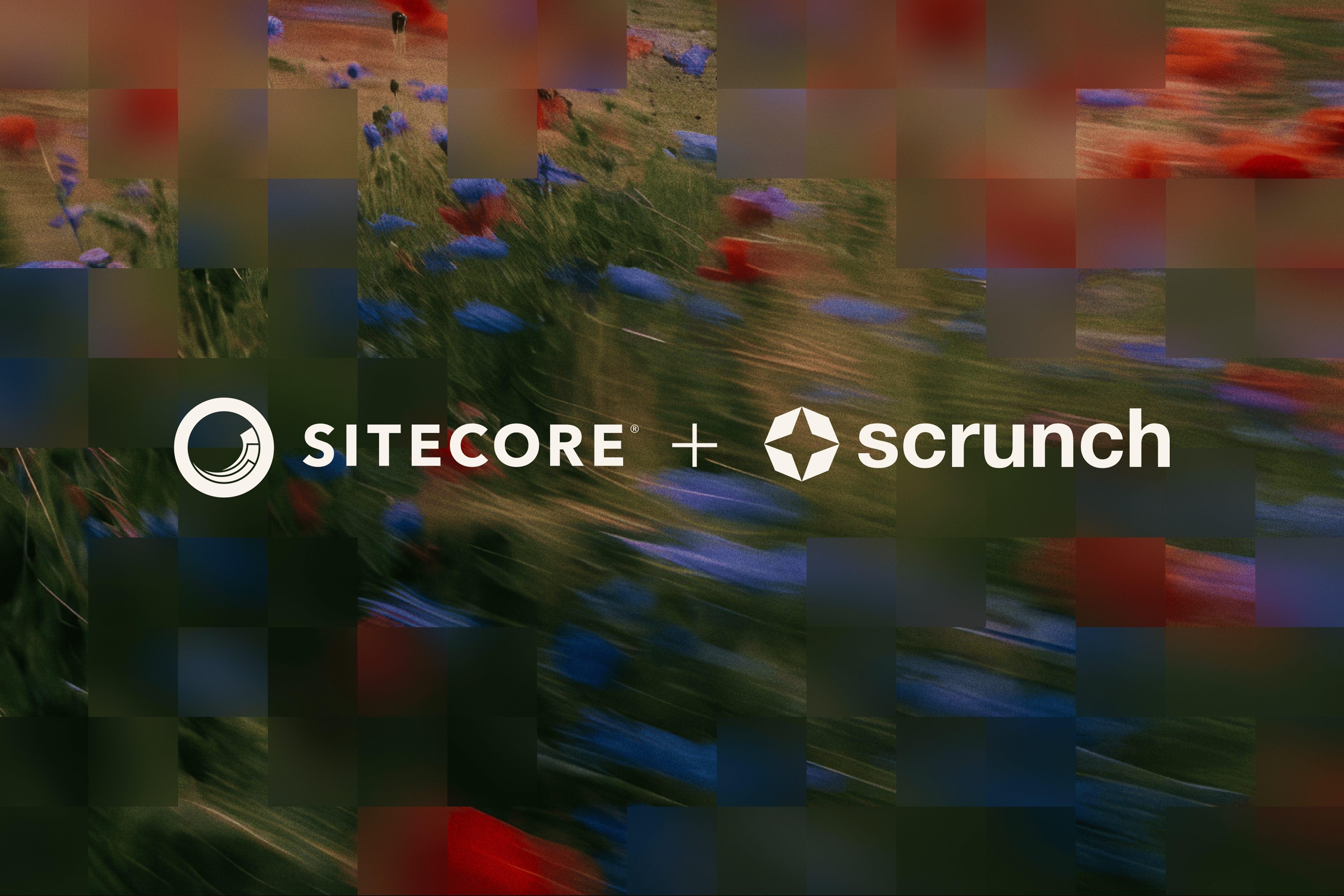 Scrunch is now a Sitecore company